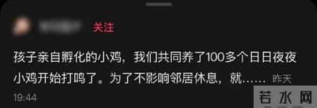 细思极恐“我的朋友在锅里”：这不是炖鸡，是杀死孩子的信任