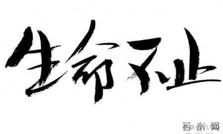 如何在销售行业活下去，而且活得风生水起呢？