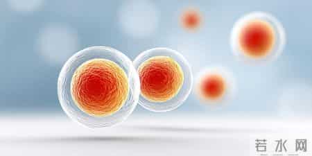 南京大学研究：低密度胆固醇越低，癌症风险越高？控制到多少才好