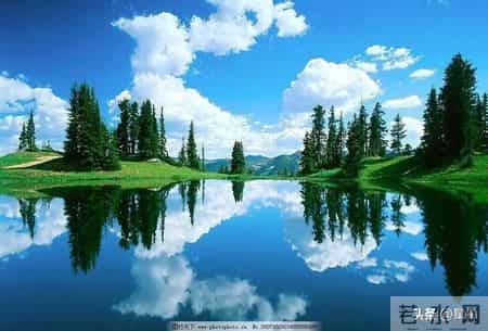 身边的亲戚朋友总爱念叨一句话：不结婚不生孩子，老了谁管你？