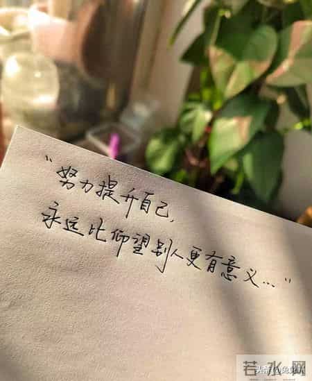 39岁，人到中年，才发现敢卖的发财了，不敢卖的穷疯了