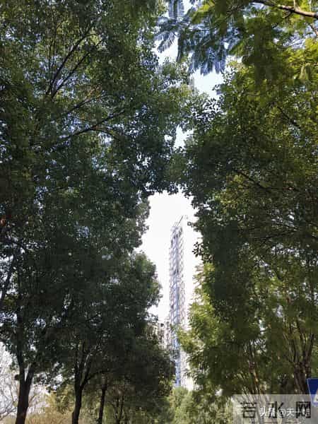 我55岁退休5年退休金2580元，12月份有3份其他收入，存了1200元