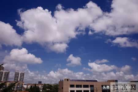 六十岁后才明白，养儿防老，是最大的一个鬼话，你们信吗？