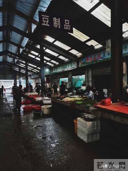 宁愿独居也不跟儿子同住，戳中老人心声：忍气吞声不如独自清净！