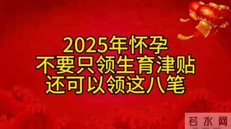 2025年怀孕不要只领生育津贴，还可以领这八笔