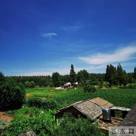 人老了才发现：成年后不跟兄弟姐妹走得太近，不是无情，而是远见