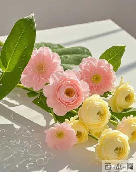 善念如种，回报似花