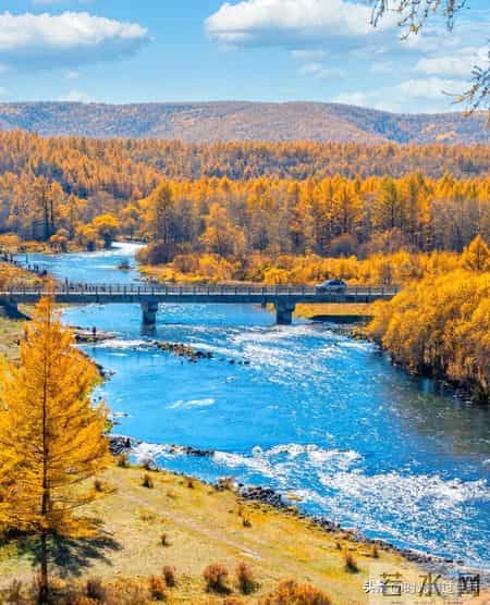 职场晋升的4个“暗码”：当机会向你递出橄榄枝，别错过