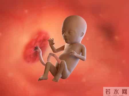 怀孕1-40周，胎儿发育每周变化！孕妈妈的干货科普