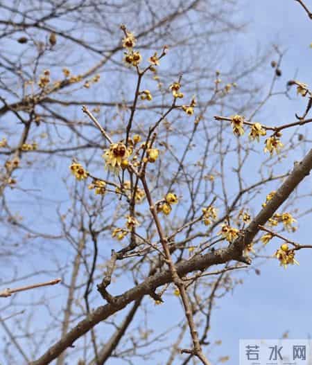 广东养老金真相除广深外最低缴费不足0.6倍退休金靠“a值”算明白