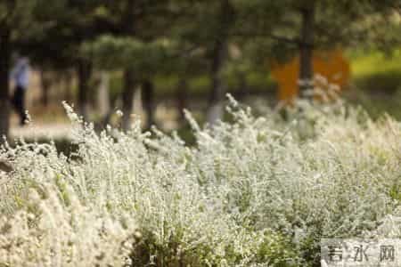 人到晚年，如果你只有一个儿子，请尽快做好这4个准备