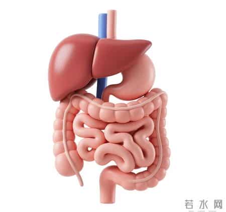 长期服用碳酸钙D3，身体正在发生这四个重要变化