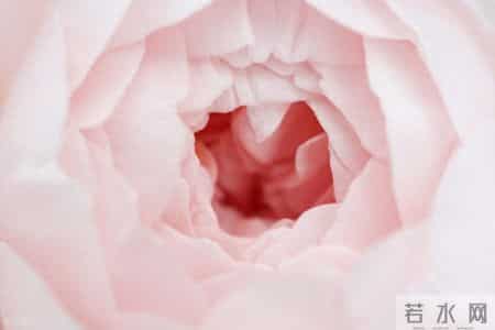 外阴白斑有4个黄金转折点！抓住一个，可能都会事半功倍