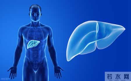 枸杞这样吃很危险！医生多次提醒：很多人还在继续吃，要尽快改正