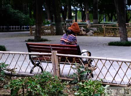 “外包儿女”上门服务，亲情能买吗？背后真相让人沉默。