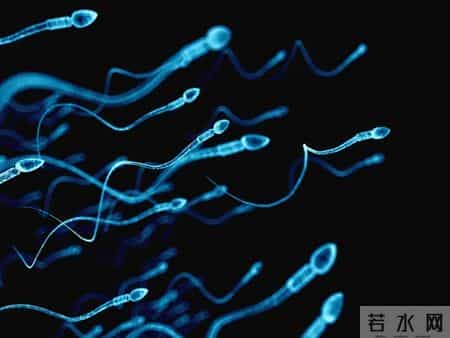 27岁健身教练精子畸形率超90%，医生：年轻男性普遍“外强中干”