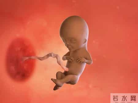 怀孕1-40周，胎儿发育每周变化！孕妈妈的干货科普