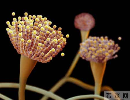 肿瘤科医生提醒：别被骗了，很多抗肿瘤的药，其实根本没用