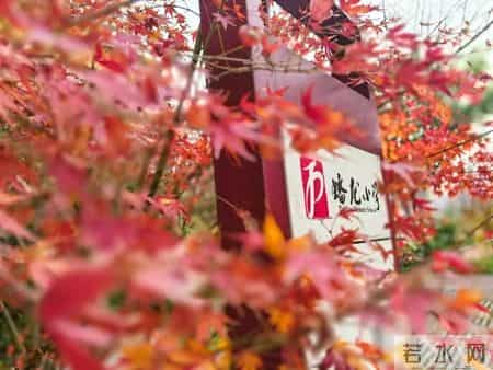 九龙坡区蟠龙小学发布招聘公告