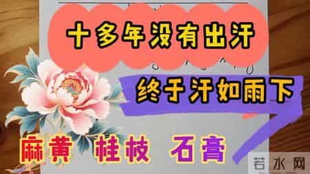 十多年没有出汗，用于在凌晨三点汗如雨下，麻黄 桂枝 石膏