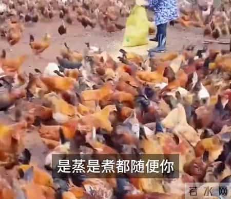 刘震云；成年人最清醒的生存法则是先把自己活成靠山，再谈...