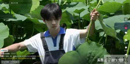 包干包会，当“创作”成了年轻人的新职业