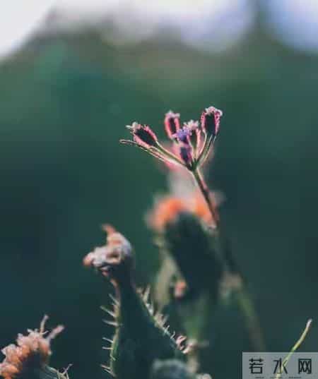 恭喜你！明天就是你家孩子好运的开始，千万别错过！