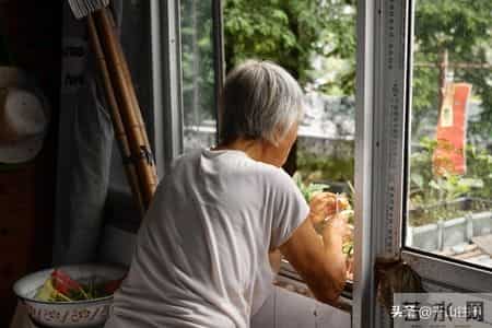 宁愿独居也不跟儿子同住，戳中老人心声：忍气吞声不如独自清净！