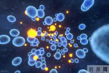 癌症患者化疗必须做满6个疗程？肿瘤科医生告诉你真相！