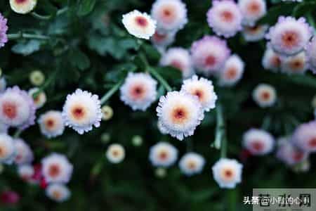 放宽心，你家孩子的命比你想的还要顺