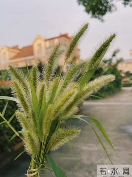 52岁退休阿姨，疯狂找活干的背后，藏着多少心酸