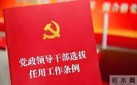 中管干部 vs 地方干部：4 大核心区别，一文看懂管理边界与发展差异