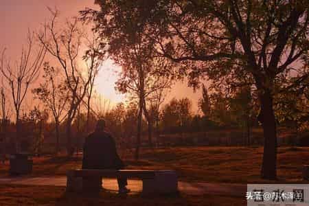 82岁老人临终劝告：有三种养老方式千万不要选，宁愿孤独也别后悔