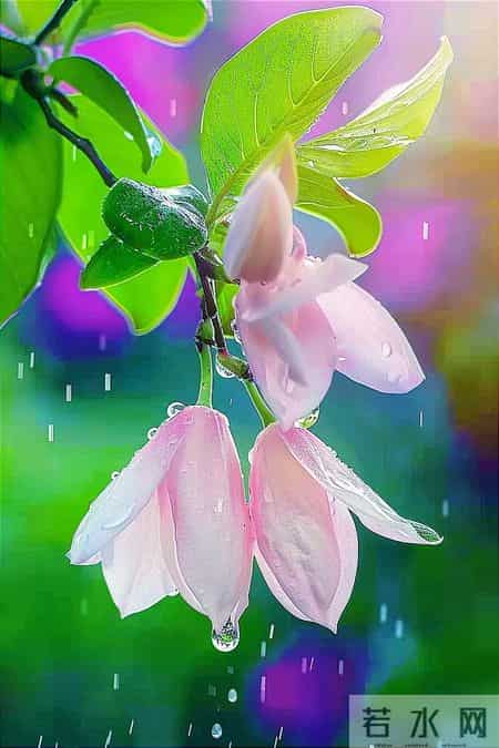 【别把孩子吼废了】