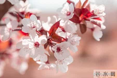 人老了最后一张底牌，大多数人都没想到，保住了就是厉害的老人