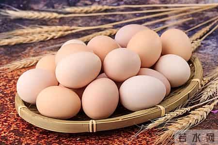 鸡蛋能否天天吃？医生坦言：老人55岁后，吃鸡蛋谨记4个关键