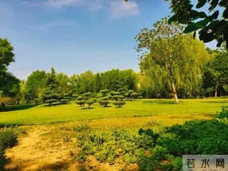 越跟烂人较真，你输得越惨！这效应要懂