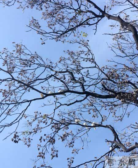 社保缴费藏玄机0.6档最划算3倍档最亏？缴费和领取的“倒挂”真相