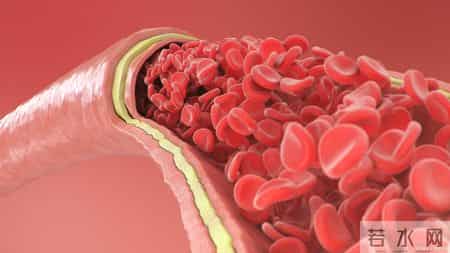 血栓“大户”被揪出，是肥肉的16倍！医生：经常吃，血管或扛不住