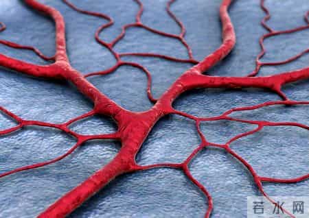 总是胸痛、胸闷、心慌，却又检查不出问题？可能是心脏这里堵了！