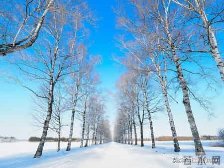 父母学会“好好说话”，孩子才会“听话”