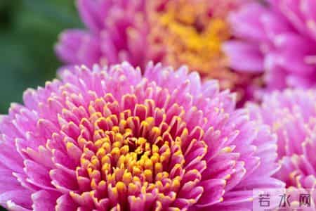 《培养孩子独立思考》的能力。