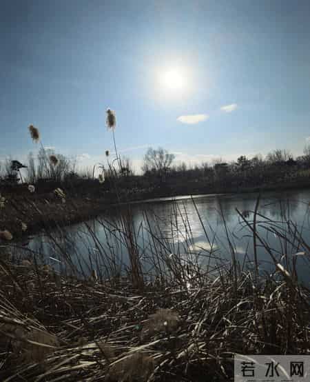 广东养老金“小a值”真特殊！外省都没有的打折规则，到底咋回事