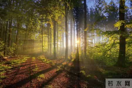 让周围的人尊重你，你要明白这3个人性规则