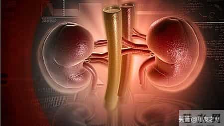 IgA肾病患者什么情况下需要免疫抑制治疗？