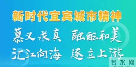 关于宜宾市个体参保人员预缴企业职工基本养老保险的通告