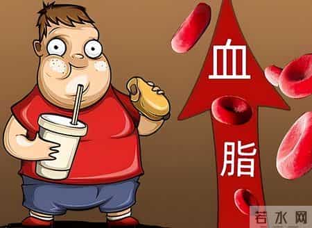 牛奶再次被关注！医生发现：高血脂人常喝牛奶，或出现这些变化