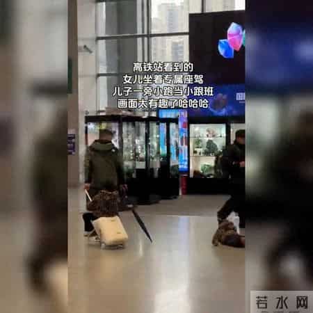 女儿高铁站淡定候车 儿子却已兴奋满场飞