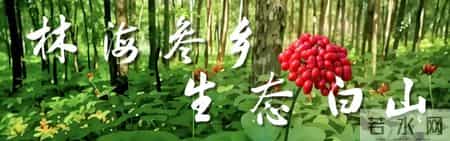 华为招聘，长春有岗