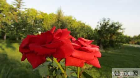 你以为60岁女性都安分？其实过了60岁，女人普遍有这7大隐秘变化